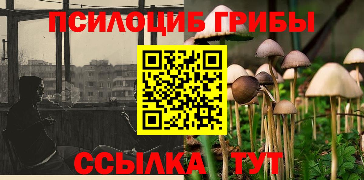 Рославль  Галлюциногенные грибы Cubensis  Вход с VPN 
